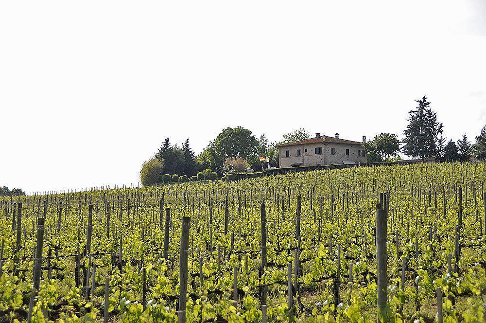 Il Colombaio, Siena -Appartamenti E Camere- Isola d'Arbia Bagian luar foto