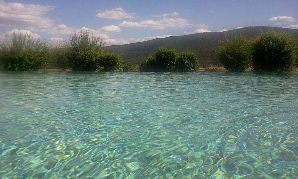 Il Colombaio, Siena -Appartamenti E Camere- Isola d'Arbia Bagian luar foto