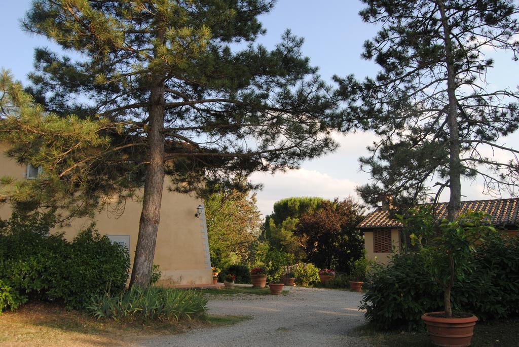Il Colombaio, Siena -Appartamenti E Camere- Isola d'Arbia Bagian luar foto