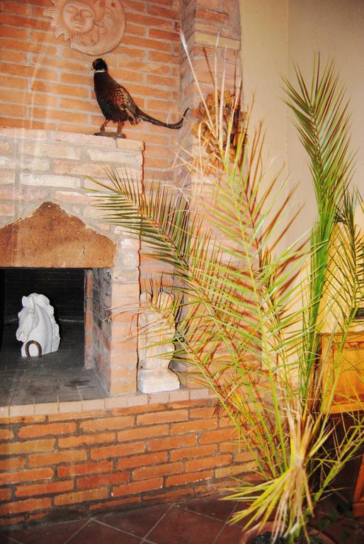 Il Colombaio, Siena -Appartamenti E Camere- Isola d'Arbia Bagian luar foto