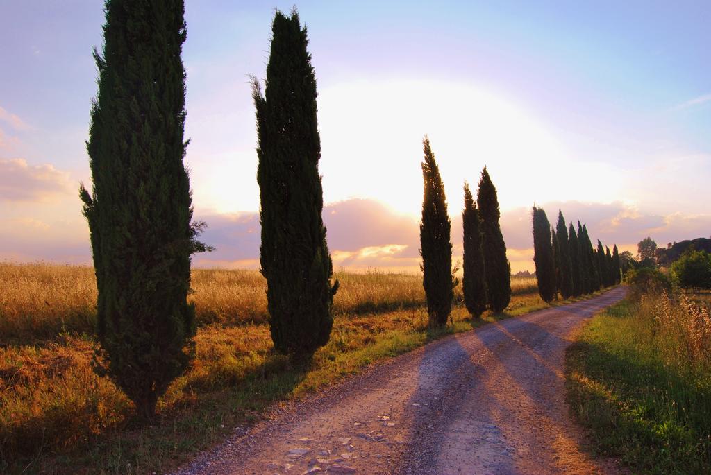 Il Colombaio, Siena -Appartamenti E Camere- Isola d'Arbia Bagian luar foto